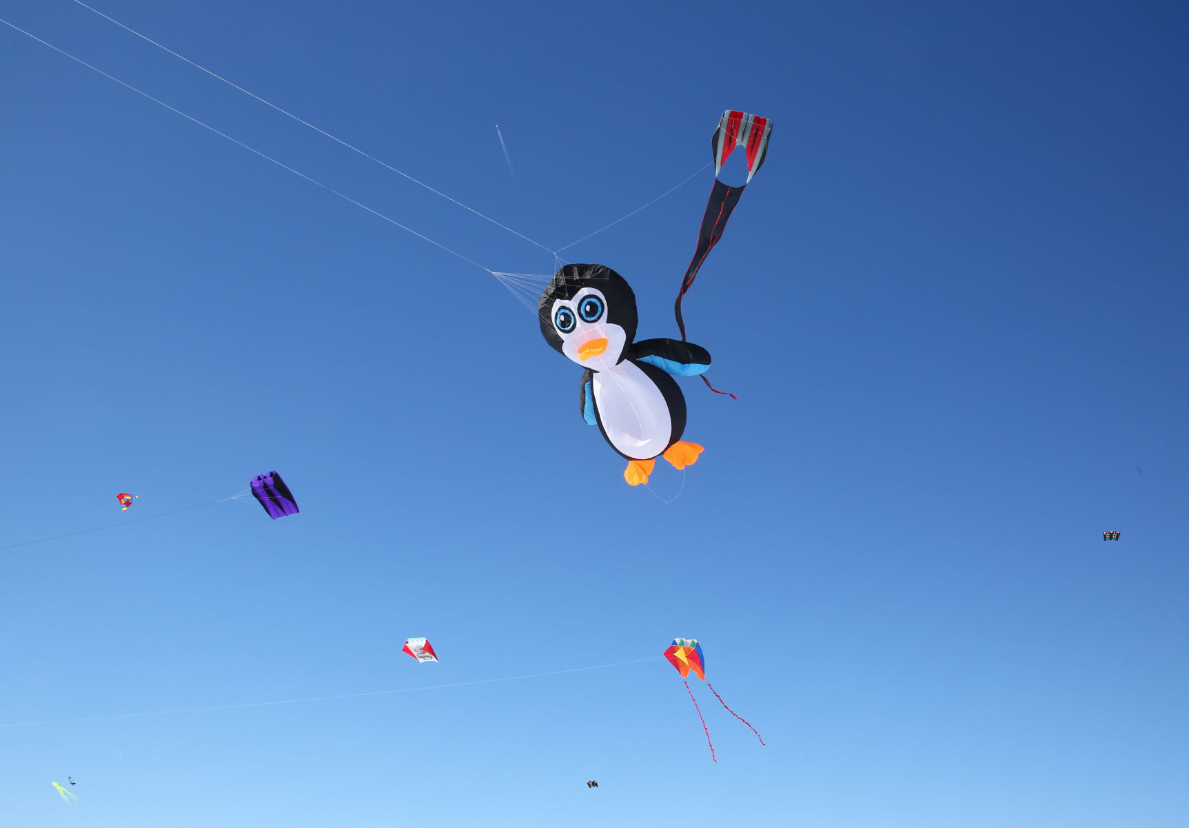 Color the Wind Kite Festival 2019 (9).jpg